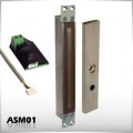 ASM01