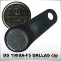 DS1990/IDM