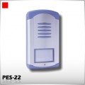 PES-22