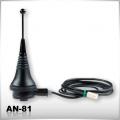 AN-81