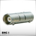 BNC I