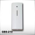 GBS 210