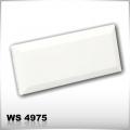 WS 4975