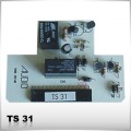 TS 31