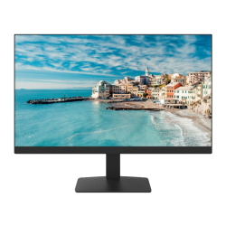 Hikvision DS-D5024FN/EU - 23,8" Full HD Monitor