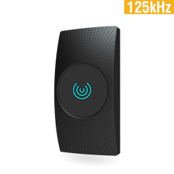R206 - 125 kHz taka kariet