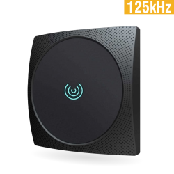 R207 - 125kHz taka kariet